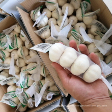 small packed fresh chinese 3p/4p pure white garlic for supermarket